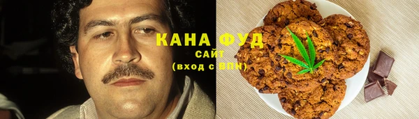 СК Алексин