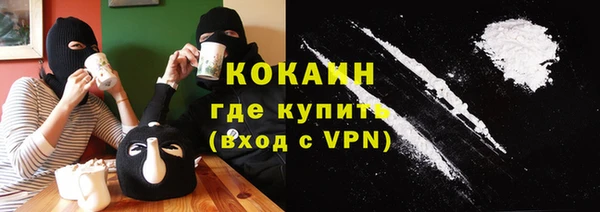 СК Алексин