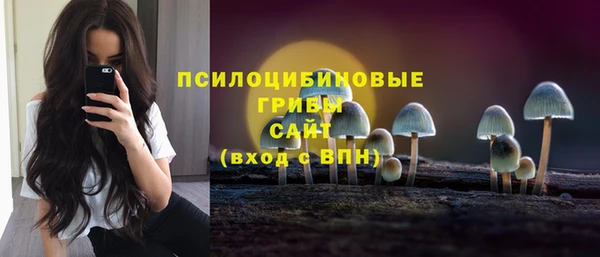 герыч Няндома