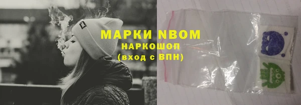 СК Алексин