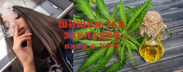 СК Алексин