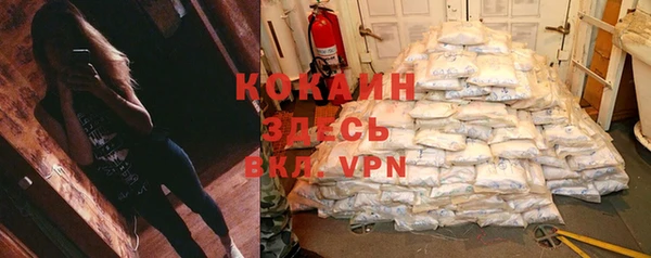 spice Абаза