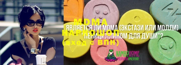 СК Алексин