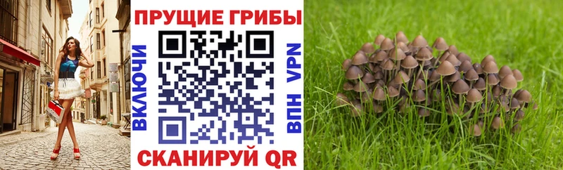 Галлюциногенные грибы ЛСД  наркотики  Саянск 